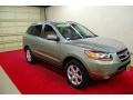 2008 Natural Khaki Green Hyundai Santa Fe Limited  photo #1