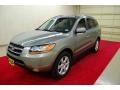 2008 Natural Khaki Green Hyundai Santa Fe Limited  photo #3