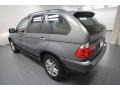 Stratus Grey Metallic - X5 3.0i Photo No. 14