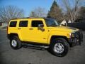 Yellow - H3  Photo No. 10