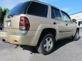 Sandstone Metallic - TrailBlazer LS Photo No. 3