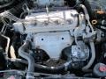 2000 Dark Emerald Pearl Honda Accord SE Sedan  photo #14