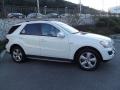 Arctic White - ML 320 BlueTec 4Matic Photo No. 3