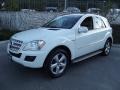 Arctic White - ML 320 BlueTec 4Matic Photo No. 8