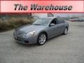 Precision Gray Metallic - Maxima 3.5 SE Photo No. 1
