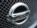 Precision Gray Metallic - Maxima 3.5 SE Photo No. 35
