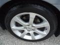 Precision Gray Metallic - Maxima 3.5 SE Photo No. 37