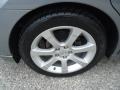 Precision Gray Metallic - Maxima 3.5 SE Photo No. 40