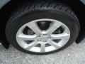 Precision Gray Metallic - Maxima 3.5 SE Photo No. 41
