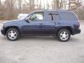 2008 Imperial Blue Metallic Chevrolet TrailBlazer LS  photo #9