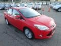 Race Red - Focus SEL Sedan Photo No. 6