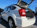 Stone White - Caliber SXT Photo No. 13
