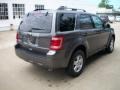 2012 Sterling Gray Metallic Ford Escape XLT  photo #5