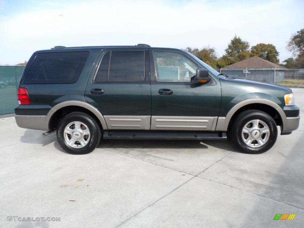 2003 Expedition Eddie Bauer - Aspen Green Metallic / Medium Parchment photo #2