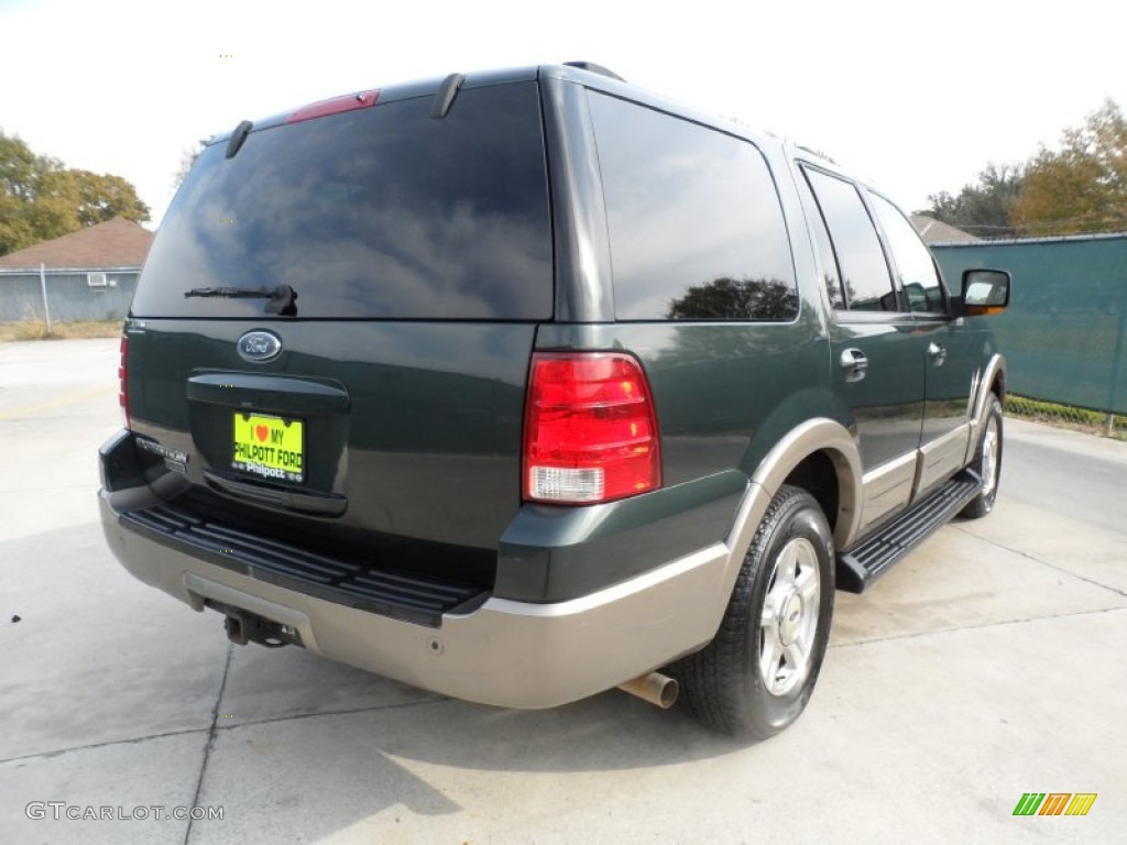 2003 Expedition Eddie Bauer - Aspen Green Metallic / Medium Parchment photo #3
