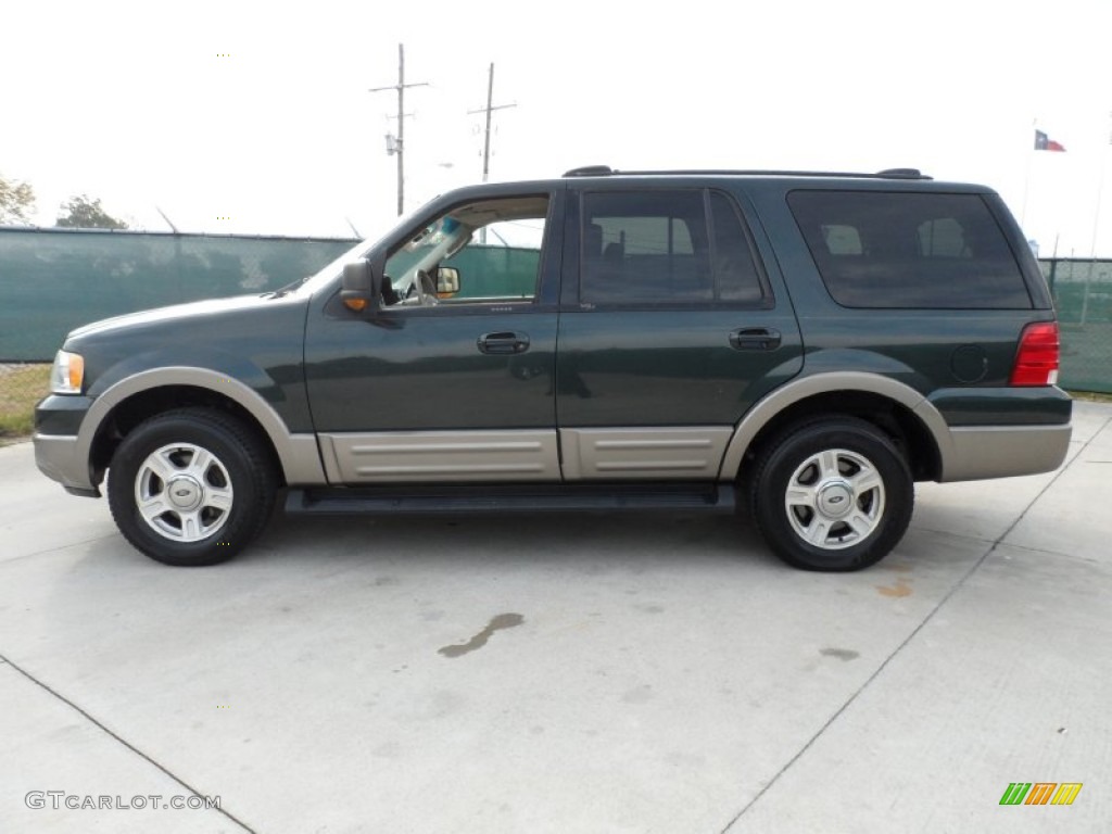 2003 Expedition Eddie Bauer - Aspen Green Metallic / Medium Parchment photo #6
