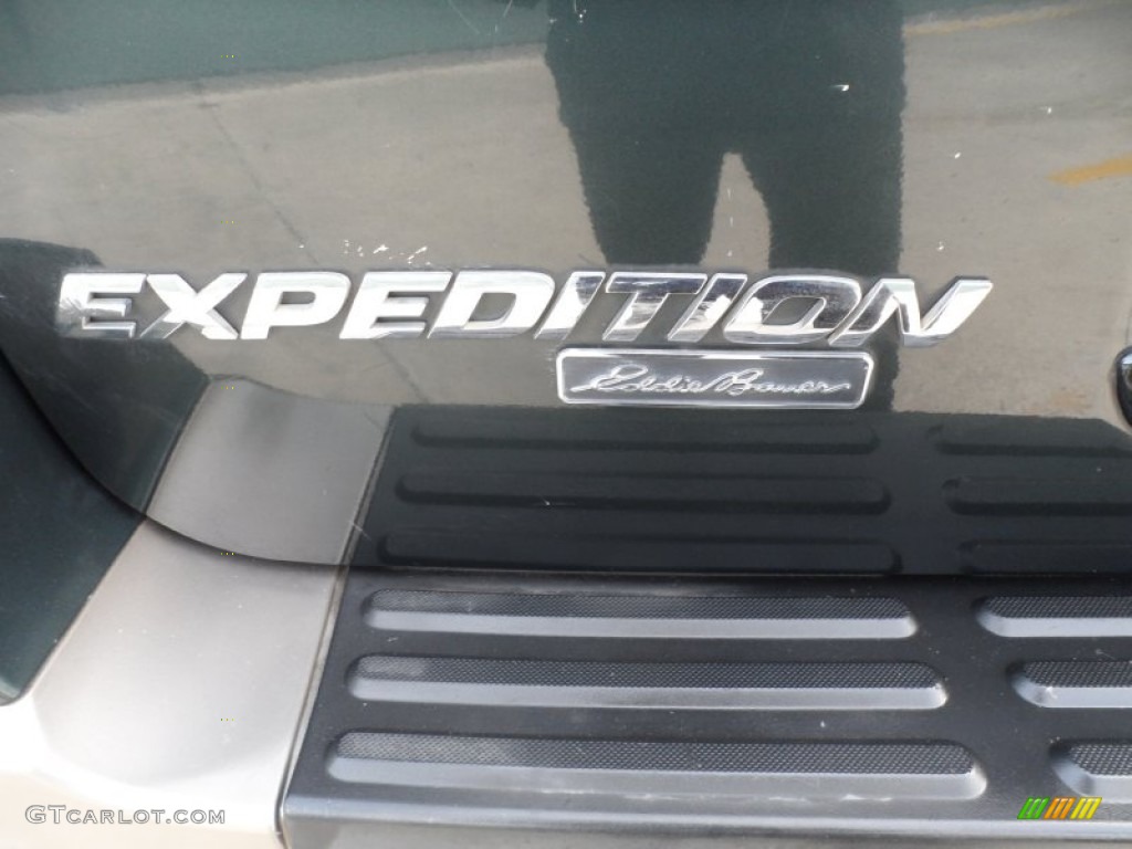 2003 Expedition Eddie Bauer - Aspen Green Metallic / Medium Parchment photo #19