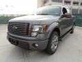 Sterling Gray Metallic 2012 Ford F150 FX2 SuperCrew Exterior