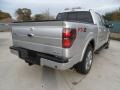 Ingot Silver Metallic - F150 FX2 SuperCrew Photo No. 3