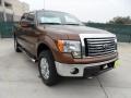 Golden Bronze Metallic - F150 XLT SuperCrew 4x4 Photo No. 1