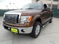 Golden Bronze Metallic - F150 XLT SuperCrew 4x4 Photo No. 5