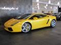 2004 Giallo Midas (Yellow) Lamborghini Gallardo Coupe  photo #3