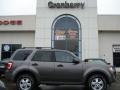 2009 Sterling Grey Metallic Ford Escape XLT 4WD  photo #1