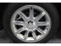 Magnesium Pearlcoat - 300 C HEMI Photo No. 10