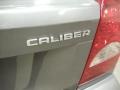 Tungsten Metallic - Caliber SXT Photo No. 28