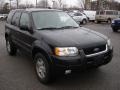 Black Clearcoat - Escape Limited 4WD Photo No. 3