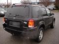Black Clearcoat - Escape Limited 4WD Photo No. 4