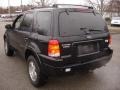 Black Clearcoat - Escape Limited 4WD Photo No. 6