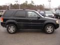 Black Clearcoat - Escape Limited 4WD Photo No. 7