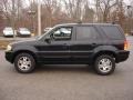 Black Clearcoat - Escape Limited 4WD Photo No. 9
