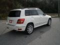 Arctic White - GLK 350 Photo No. 3