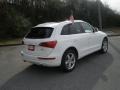 2010 Ibis White Audi Q5 3.2 quattro  photo #3