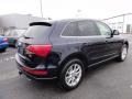 2009 Deep Sea Blue Pearl Effect Audi Q5 3.2 Premium quattro  photo #8