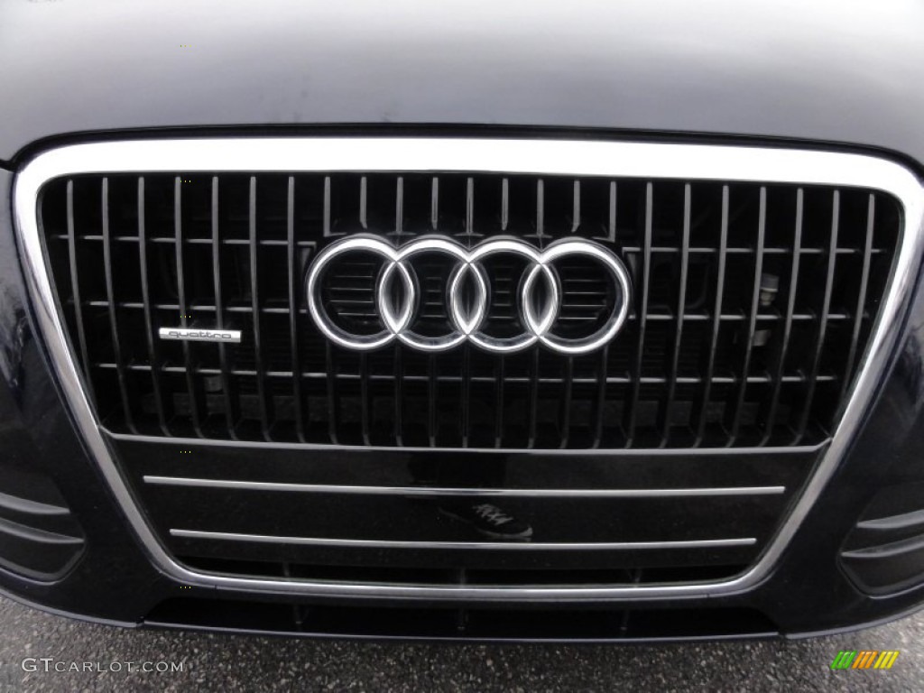 2009 Q5 3.2 Premium quattro - Deep Sea Blue Pearl Effect / Cardamom Beige photo #32