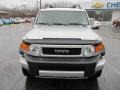 Titanium Metallic - FJ Cruiser 4WD Photo No. 4