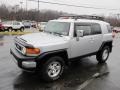 Titanium Metallic - FJ Cruiser 4WD Photo No. 5