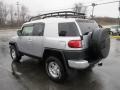 Titanium Metallic - FJ Cruiser 4WD Photo No. 7