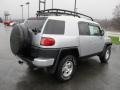 Titanium Metallic - FJ Cruiser 4WD Photo No. 9