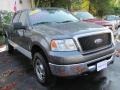 2007 Dark Shadow Grey Metallic Ford F150 XLT SuperCrew 4x4  photo #18