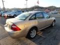 2007 Dune Pearl Metallic Ford Five Hundred SEL AWD  photo #4