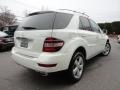 Arctic White - ML 350 4Matic Photo No. 10