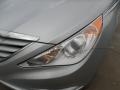 2012 Radiant Silver Hyundai Sonata GLS  photo #9