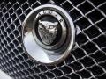 Cashmere Metallic - XF Premium Sport Sedan Photo No. 14