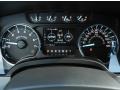 Steel Gray Gauges Photo for 2012 Ford F150 #58503278