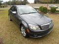Steel Grey Metallic - C 300 Luxury Photo No. 1