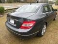 Steel Grey Metallic - C 300 Luxury Photo No. 14